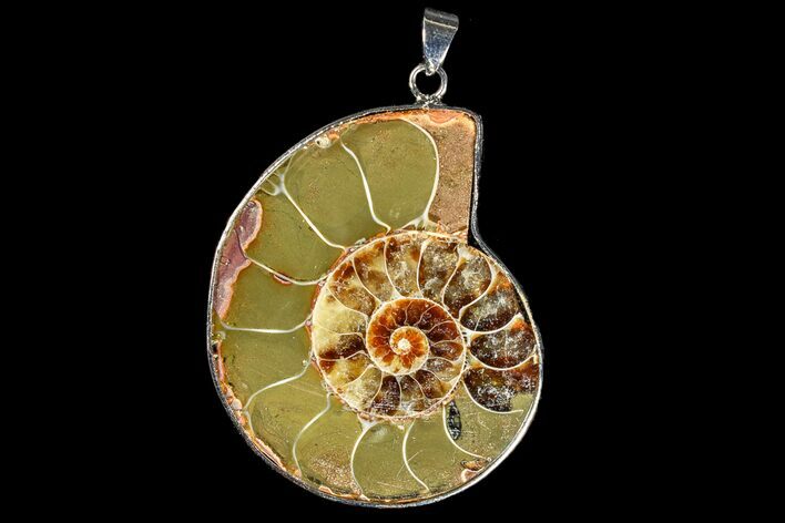 Bargain, Fossil Ammonite Pendant - Million Years Old #166146